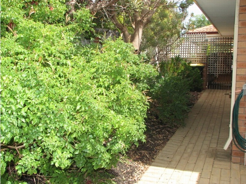10 Dauphine Place, Joondalup WA 6027