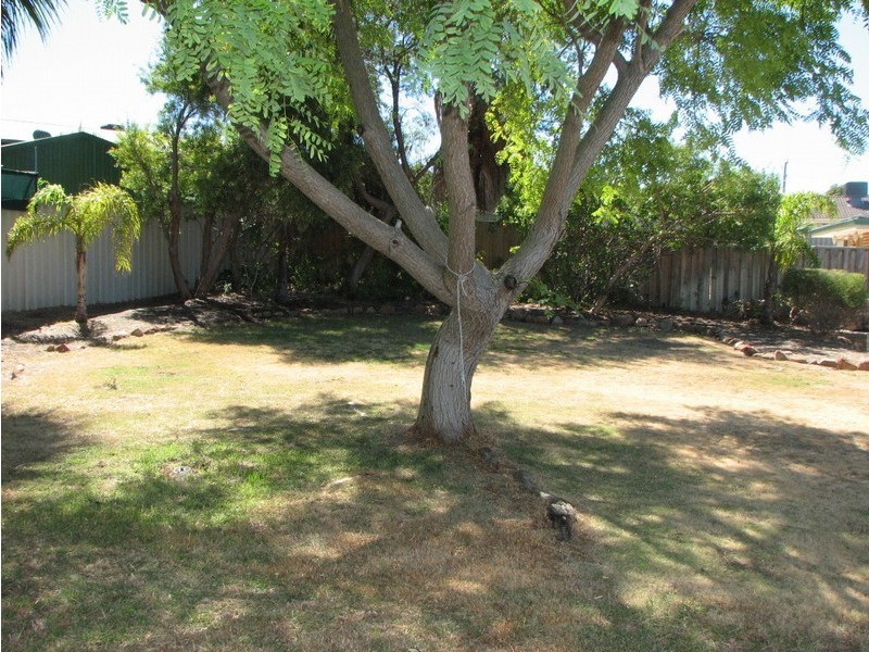 19 Priscilla Avenue, Beldon WA 6027