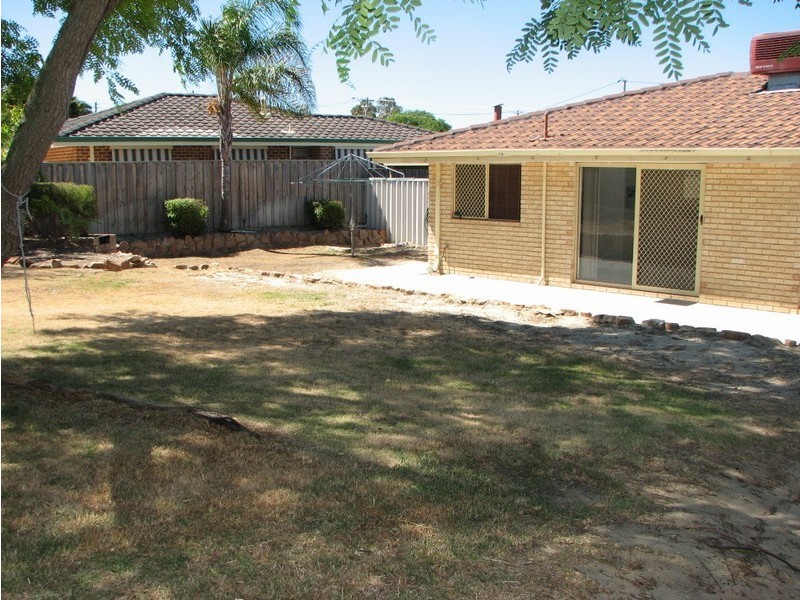 19 Priscilla Avenue, Beldon WA 6027