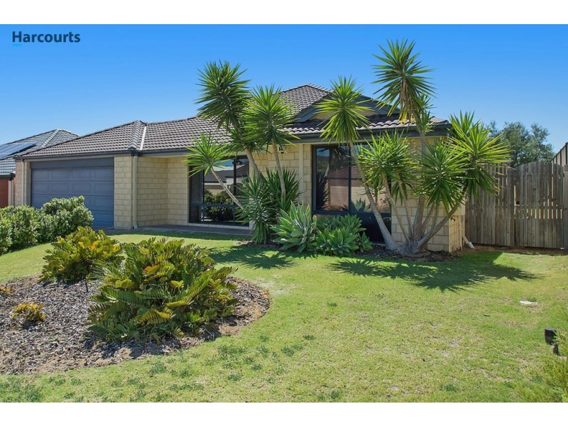 11 Injidup Loop, Clarkson WA 6030