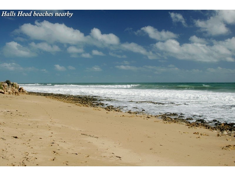 206 Peelwood Parade, Mandurah WA 6210