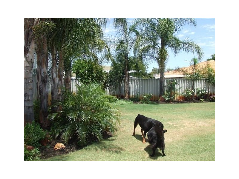 23 Tuart Road, Mandurah WA 6210