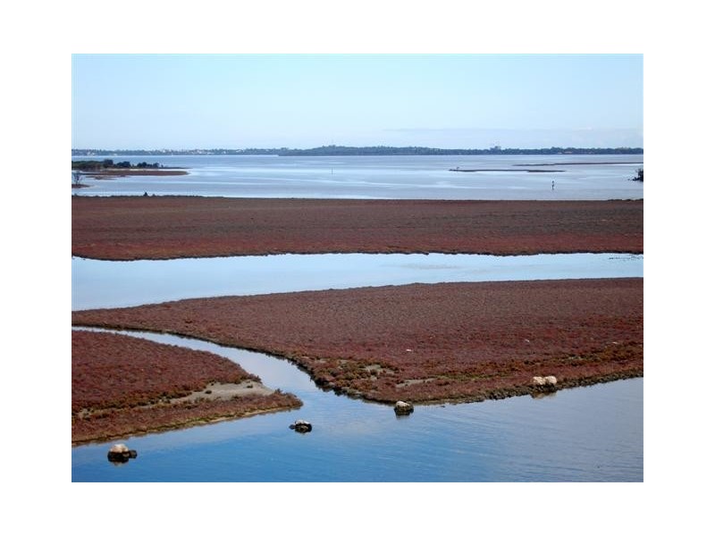 53 Katinka Retreat, Dudley Park WA 6210