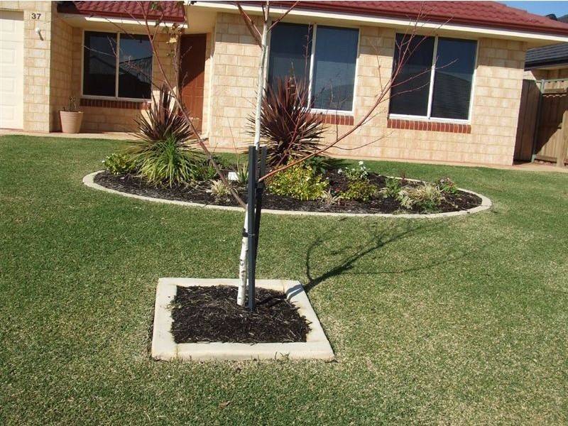 37 Waratah Circle, Halls Head, 6210, Mandurah WA 6210