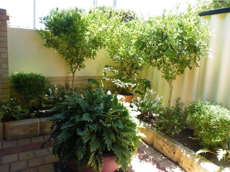 2/99 Ormsby terrace, Mandurah WA 6210