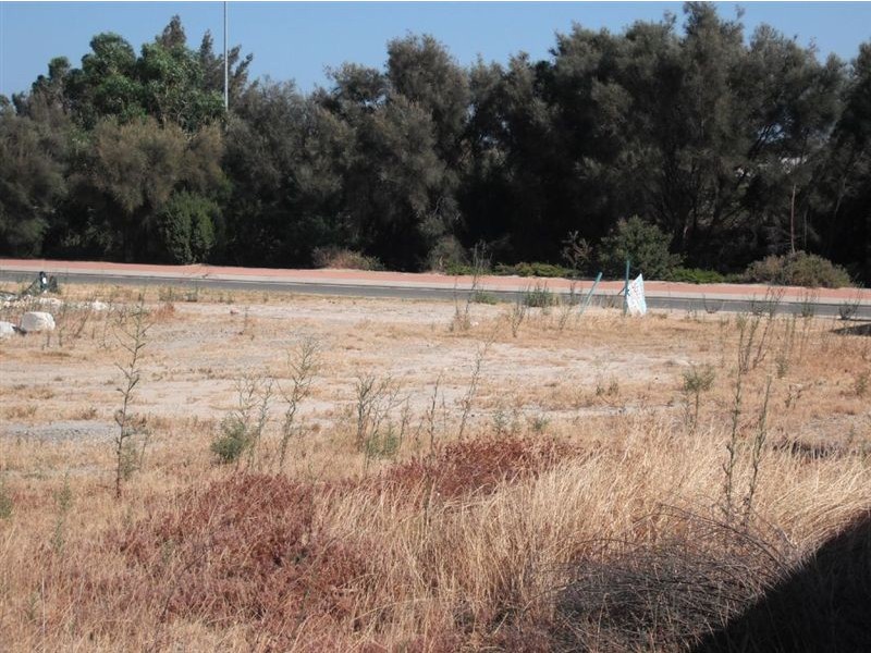 39 Waterlilly Drive, Dudley Park WA 6210