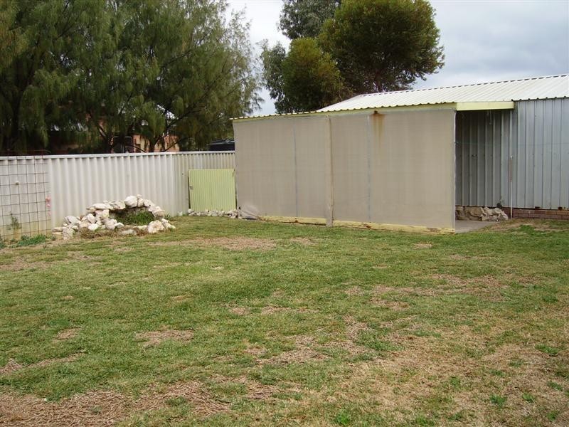 10 Hibiscus St, Leeman WA 6514