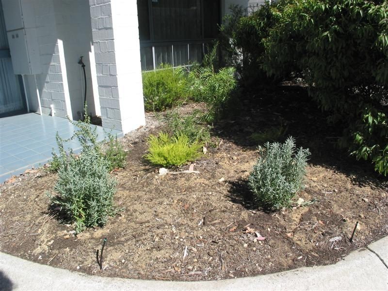 2/19 McMillan St, Victoria Park WA 6100