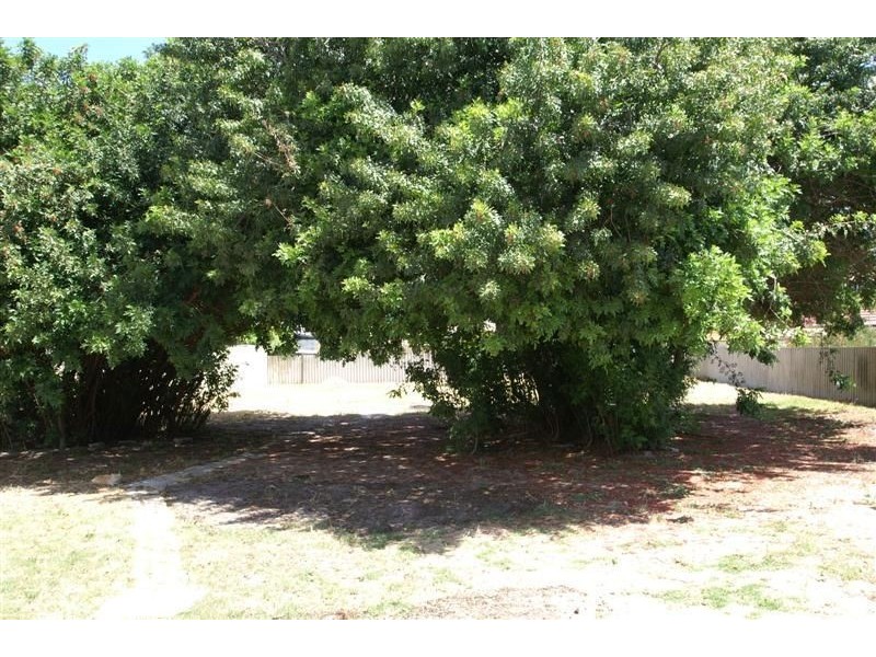 44 Williamson Avenue, Belmont WA 6104