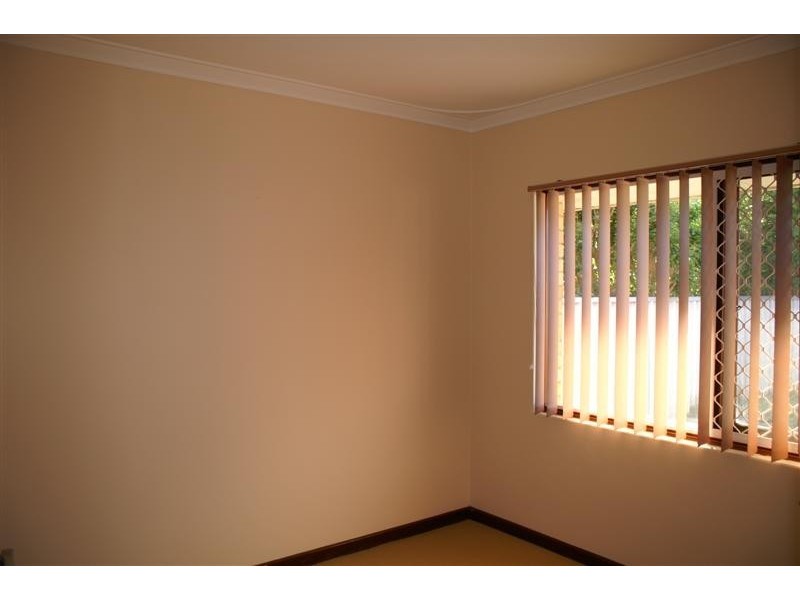 19 Jenever Place, Bentley WA 6102