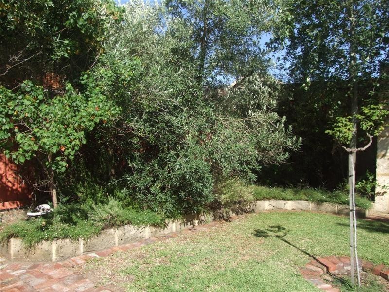 13 Willis Street, East Victoria Park WA 6101