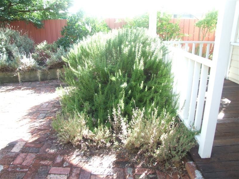 13 Willis Street, East Victoria Park WA 6101