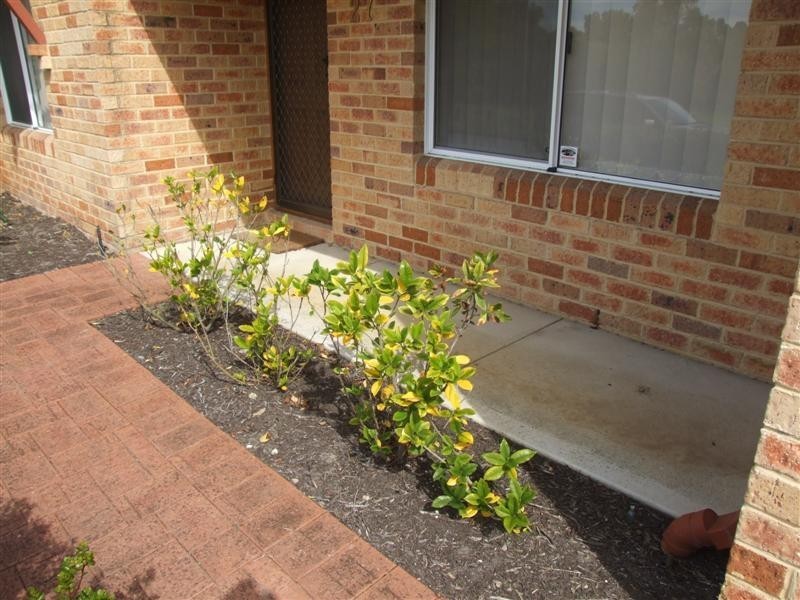 27 Petrel Cl, Wilson WA 6107