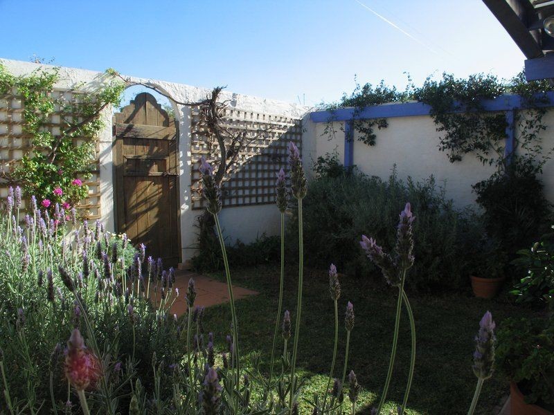 4 North Street, Somerton Park SA 5044