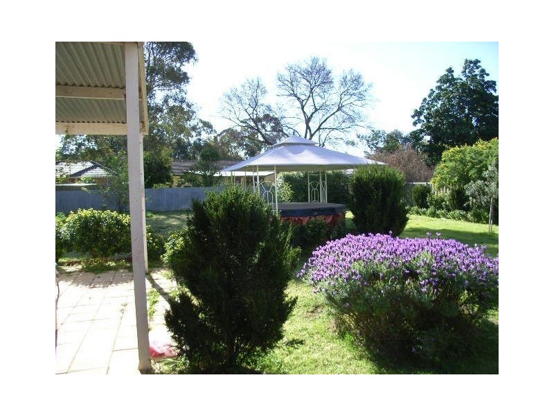 12 Pethick Terrace, Marion SA 5043