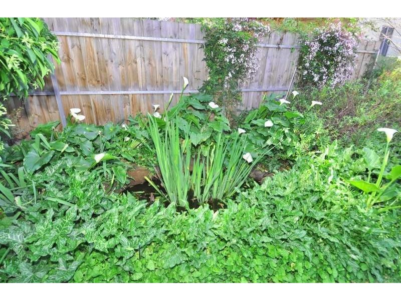 2/28 Douglas Street, Parkside SA 5063