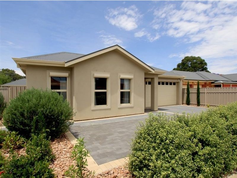 16 Douglas Street, Lockleys SA 5032