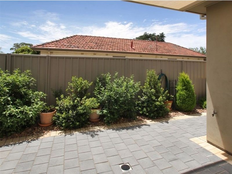 16 Douglas Street, Lockleys SA 5032