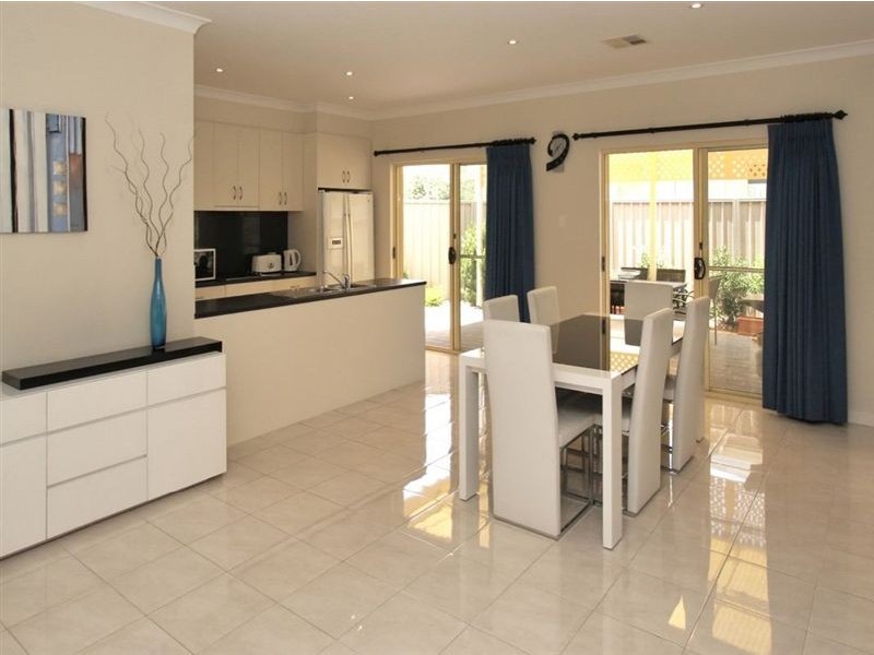 16 Douglas Street, Lockleys SA 5032