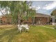 8 Collins Avenue, Edwardstown SA 5039
