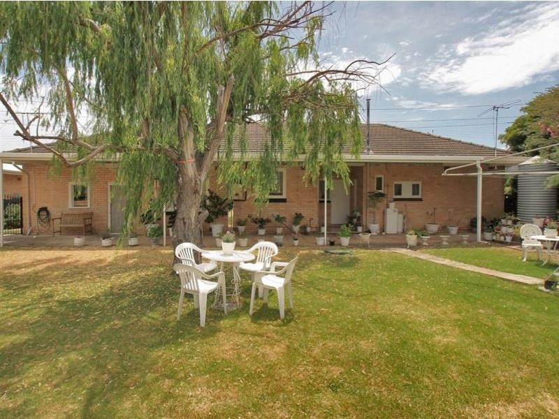 8 Collins Avenue, Edwardstown SA 5039