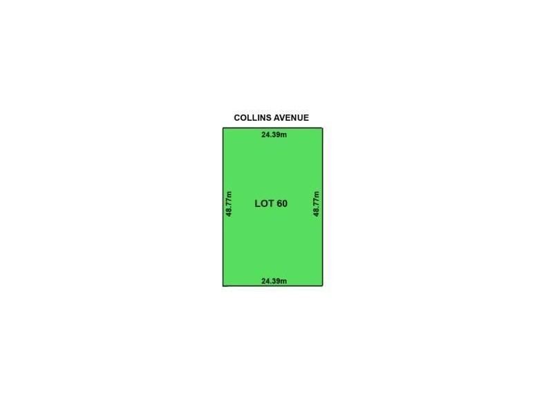 8 Collins Avenue, Edwardstown SA 5039