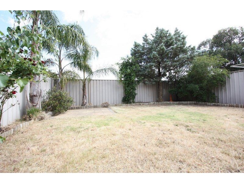 3 Shetland Avenue, Marion SA 5043