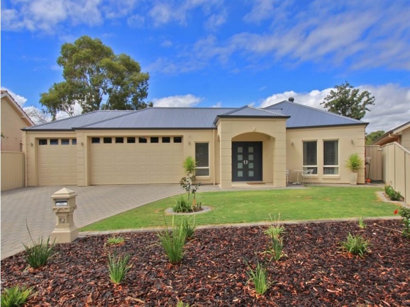 12 Paterson Crescent, Morphettville SA 5043