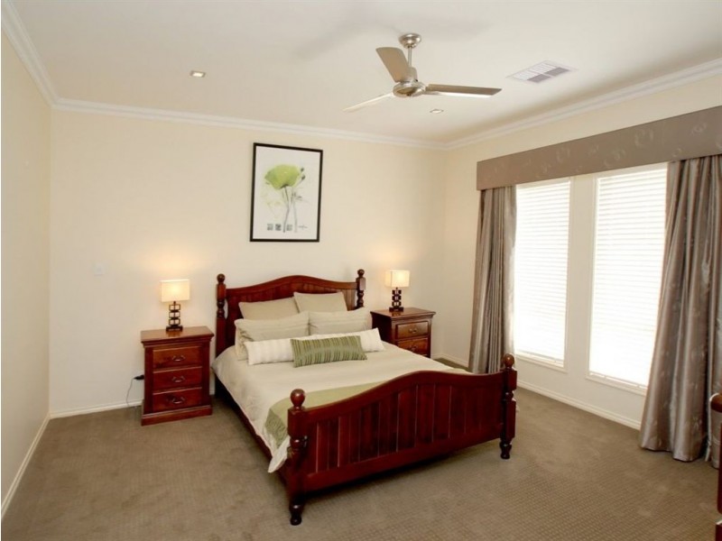 12 Paterson Crescent, Morphettville SA 5043