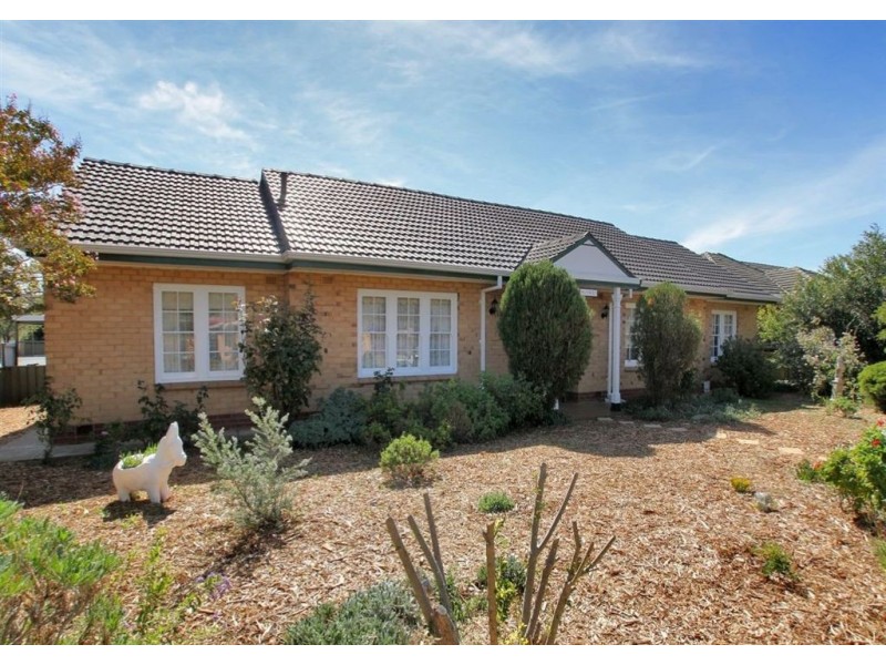 20 Nickels Avenue, Park Holme SA 5043