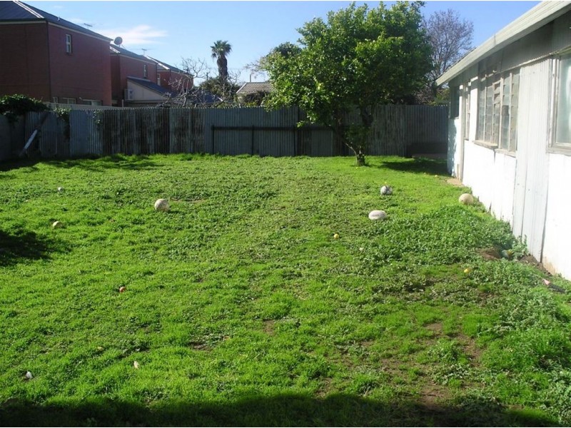 31 Daisy Avenue, Mitchell Park SA 5043