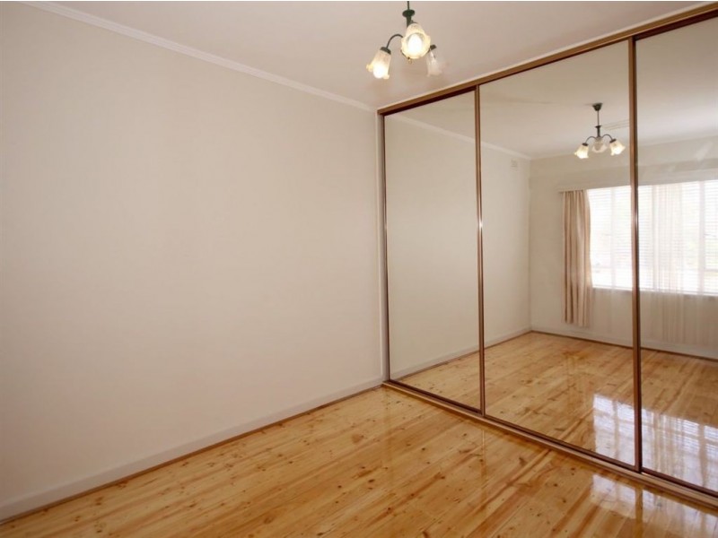 13 Browning Avenue, Plympton Park SA 5038