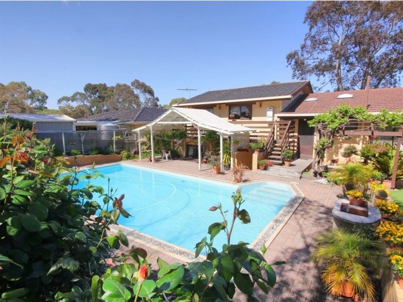 6 Chelsea Avenue, Flagstaff Hill SA 5159