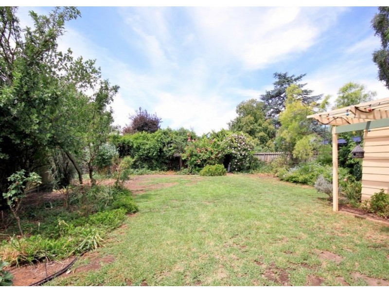116 Allinga Avenue, Glenunga SA 5064
