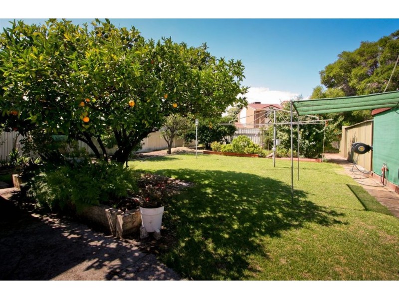 9 Gray Street, Plympton SA 5038