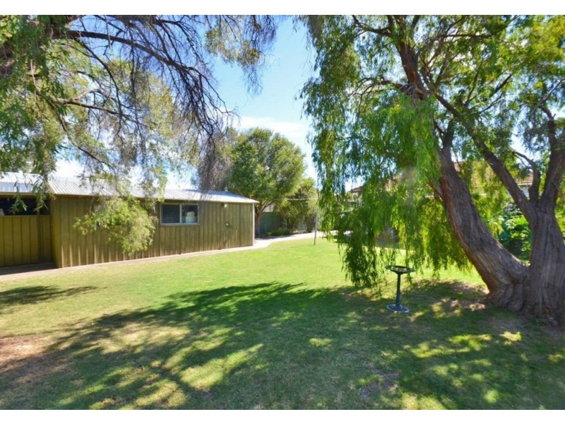 4 Griffiths Road, Plympton Park SA 5038