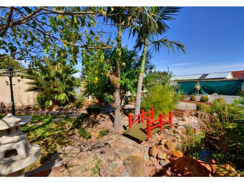 9 Hill Street, Plympton Park SA 5038