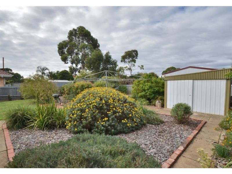 7 Almond Grove, Glandore SA 5037