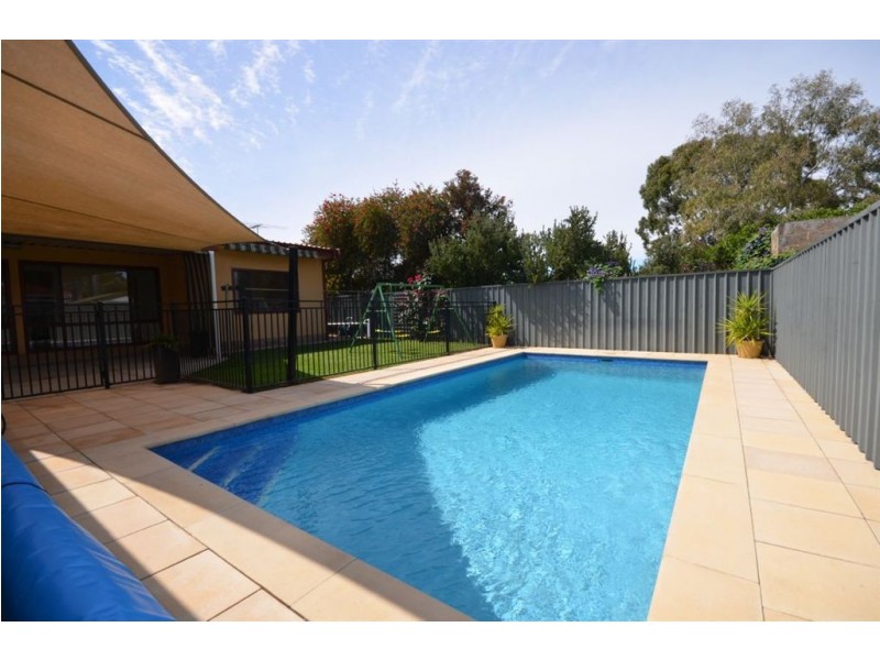 19 Arthur Street, Plympton Park SA 5038