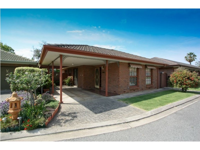 12/549 Anzac Highway, Glenelg North SA 5045