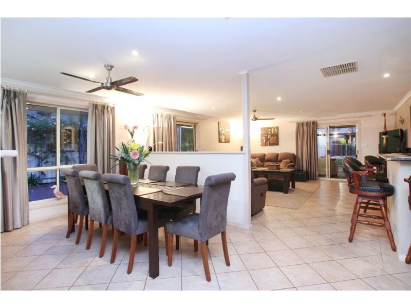 59 Carlisle Street, Camden Park SA 5038