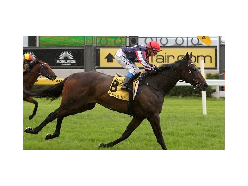 21 Park Terrace, Plympton Park SA 5038