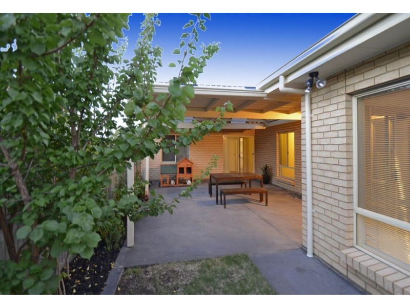 2B Jackson Street, Plympton Park SA 5038