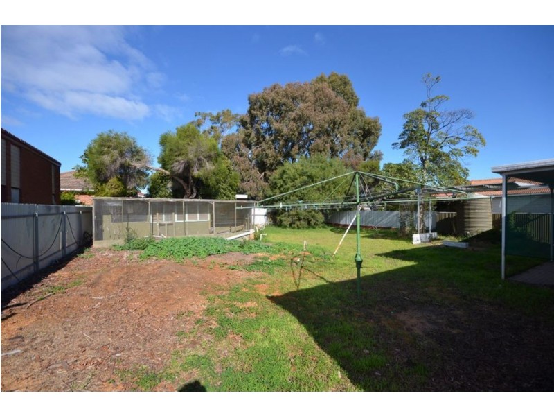 66 Bray Street, Plympton Park SA 5038