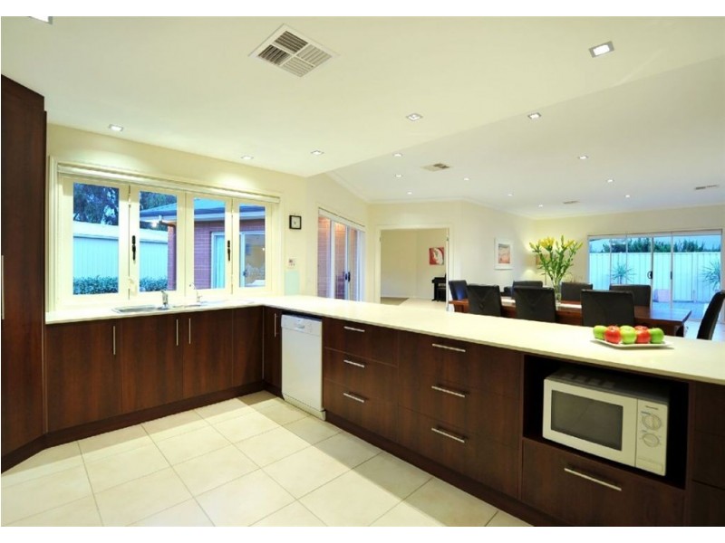 12 Paterson Crescent, Morphettville SA 5043