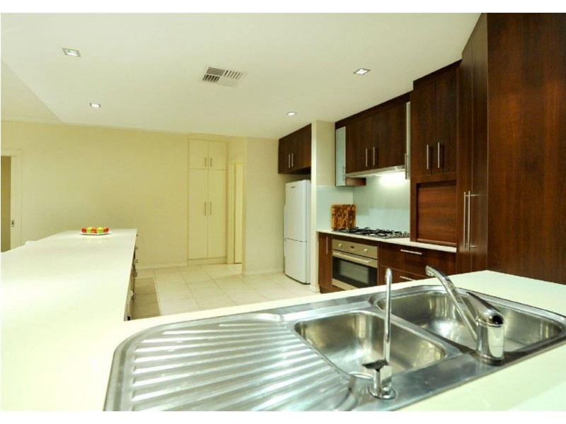 12 Paterson Crescent, Morphettville SA 5043