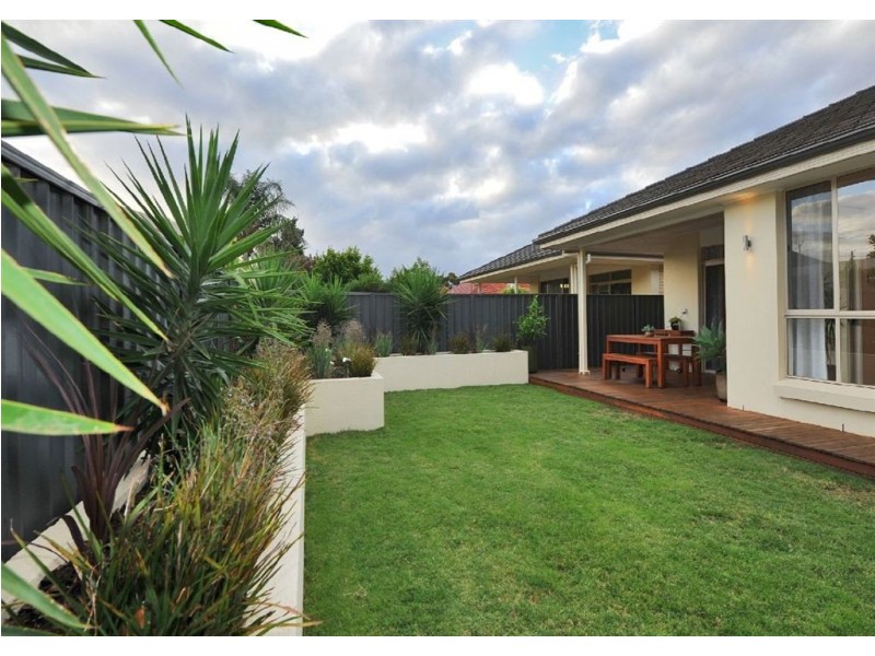 38 Shakespeare Avenue, Plympton Park SA 5038