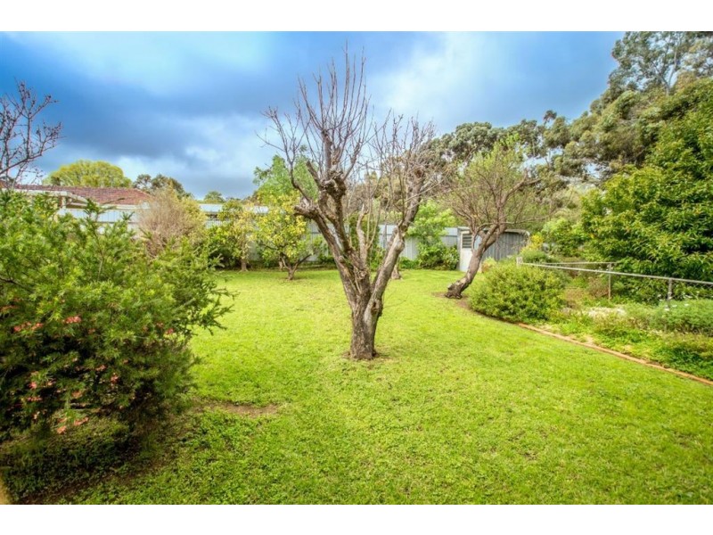 6 Hillrise Road, Panorama SA 5041