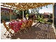 20 Williams Avenue, Glenelg East SA 5045