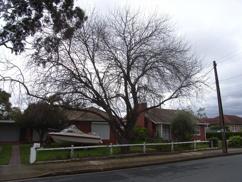 15 & 17 Nelson Street, South Plympton SA 5038
